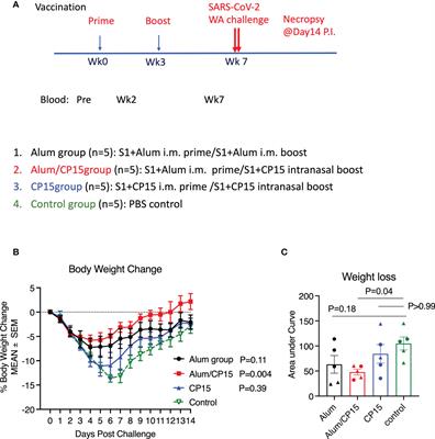 Protection from COVID-19 disease in hamsters vaccinated with subunit SARS-CoV-2 S1 mucosal vaccines adjuvanted with different adjuvants